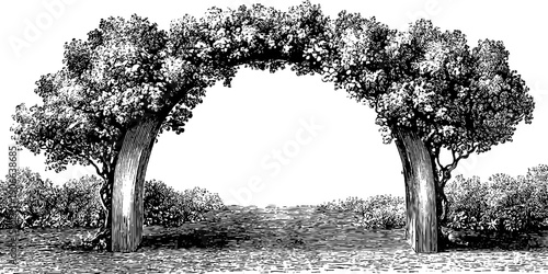 Vintage semicircular arch with botanical elements for engraving design