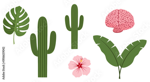 Diverse Vector Illustrations Tropical Plants Hibiscus Flower Cacti and Human Brain.