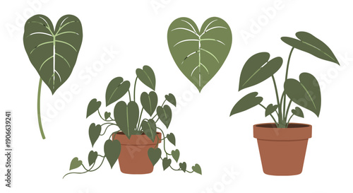 Stylized Green Potted Houseplants and HeartShaped Leaves Vector Illustration Set.