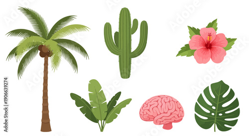Vibrant green fronds on a tall brown trunk featuring ripe coconuts in a stylized vector illustration.