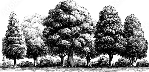 Vintage botanical architectural facade ornament panel design for historical restoration