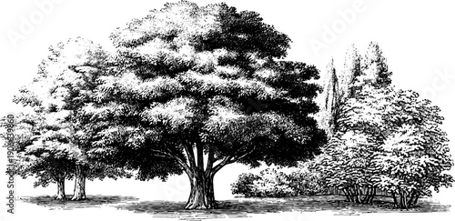 Vintage botanical landscape with architectural relief depth in hand drawn engraving style