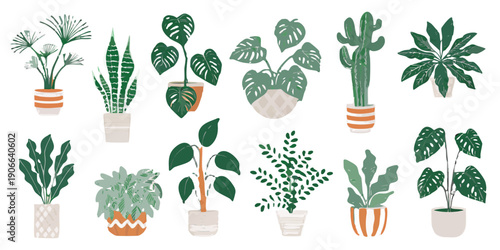 Collection of colorful potted houseplants arranged in a decorative composition