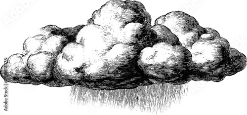 Vintage botanical cloud with shadow and diffusion concept for design