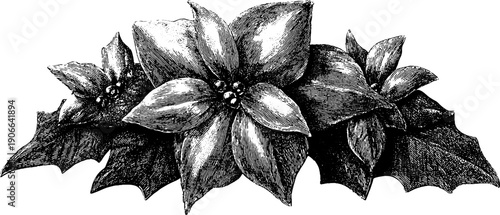 Vintage botanical engraving of festive floral decorations for holiday design