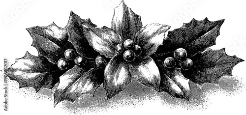 Vintage botanical festive decorative composition for holiday card design