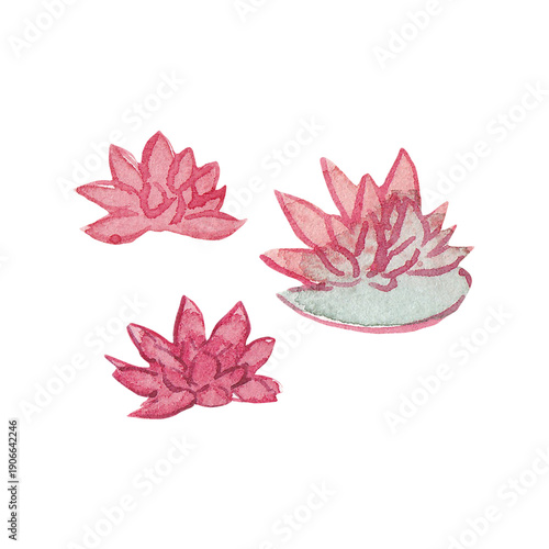 aquarelle fleur nénuphar, petite illustration, ornement, orange, peinture
