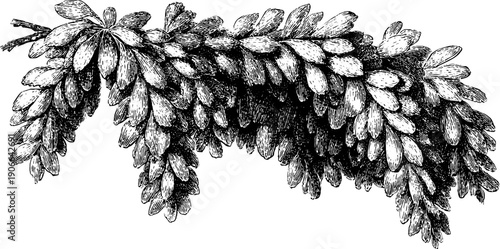 Vintage botanical garland - festive curve arrangement for holiday decor design