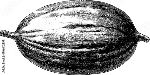 Vintage botanical festive ornament in oval decorative form for holiday design