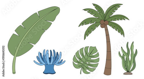 Stylized Tropical and Marine Flora Collection Palm Tree Banana Leaf Monstera Seaweed Blue Coral.