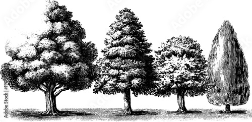 Four seasons allegory in vintage botanical linear sequence for design and decoration