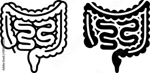 Human colon anatomy illustration in black and white