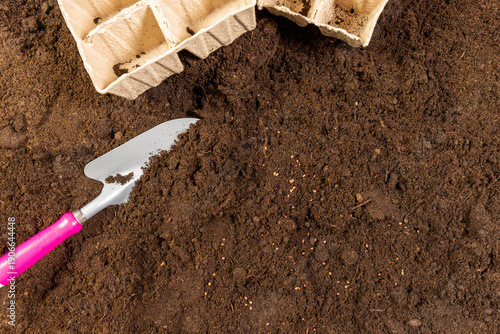 daikon seeds and earth-filled cardboard pots for seedlings with soil, daikon seeds and paper disposable cups for seedlings filled with soil mixed with humus and peat