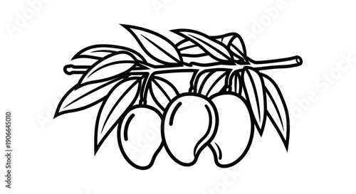 Mangoes on a Branch Illustration