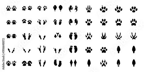 Constellation of zodiac signs and celestial symbols against a black background