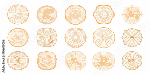 Collection of tree stump cross sections in varying patterns and shades