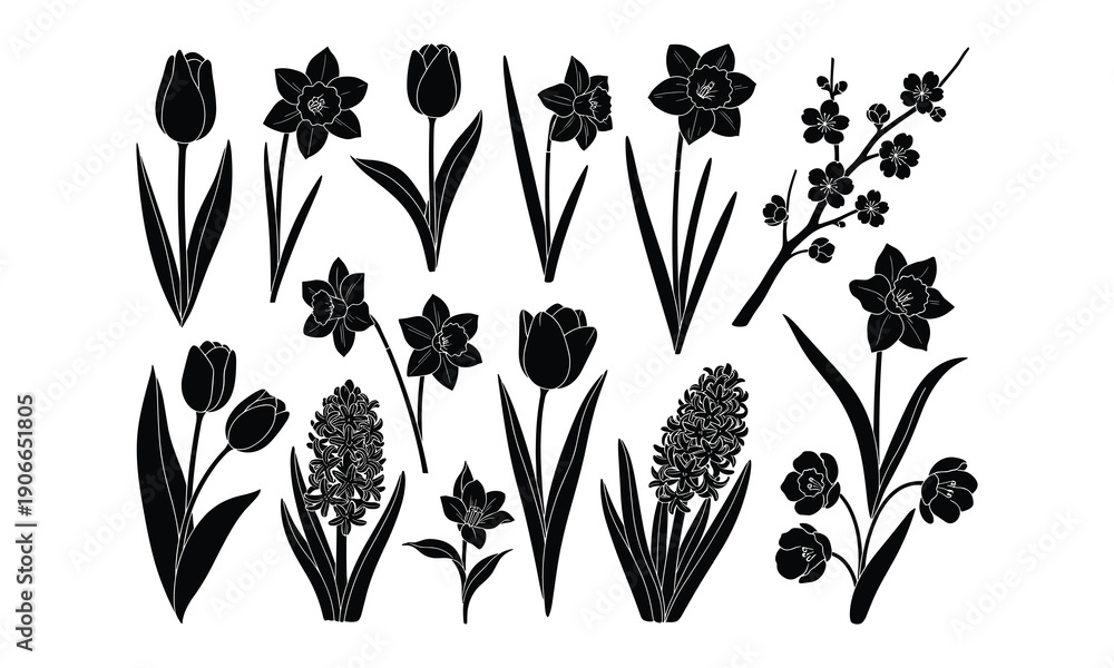 Naklejka premium Collection of various black flowers and plants