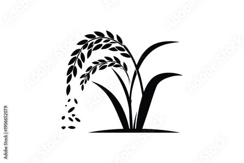 Rice plant silhouette illustration showing grain stalks and leaves for agriculture and farming design themes