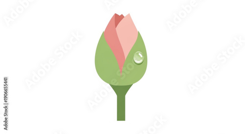 Pink rosebud with dewdrop on green leafy stem isolated on white background