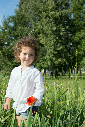 In summer, curly girl standing in the tall grass, and the grass holding a poppy.