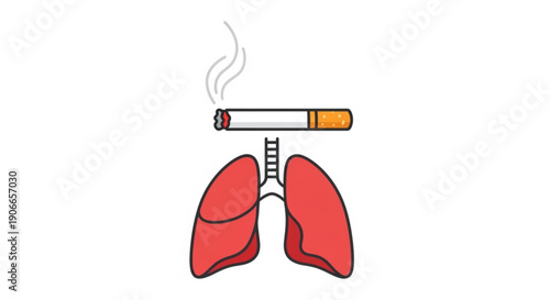 Smoking damages lungs cigarette harming human respiratory system
