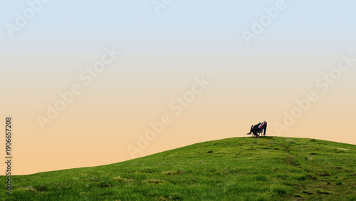 Minimalist composition businessman resting on green hill under pastel sky. Concept of mental break, work life balance, burnout recovery, leadership reflection, corporate wellbeing and calm lifestyle.