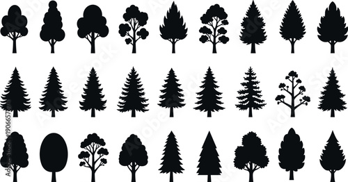 Collection of butterfly silhouettes with various wing patterns and shapes, elegant insect outlines isolated on white background for decorative nature designs.