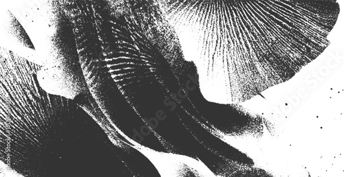 Black and white abstract textured close up of organic shapes and lines