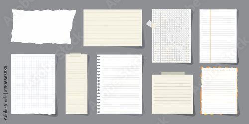 Collection of torn and lined paper sheets against a gray background