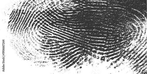 Close up black and white fingerprint texture with swirling ridges and white background thumbprint whorl