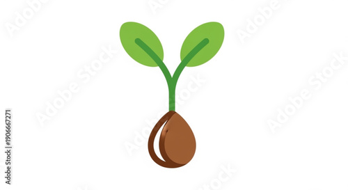 Sprouting seedling with two green leaves and brown seed