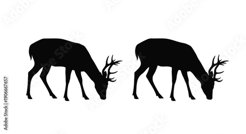 Two deer grazing peacefully in a stark black silhouette