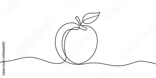 Peach fruit in continuous line art drawing style. Simple black sketch made of one line isolated on white background, Apricot vector illustration. One line drawing art illustration.