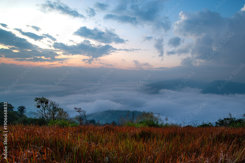 Fototapeta premium The sea of ​​fog in the morning on a high mountain