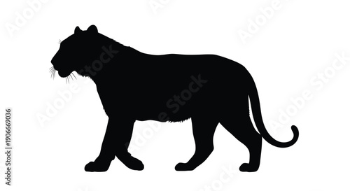 A striking black silhouette of a walking tiger