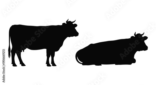 Two cows in a field one standing and one resting silhouette