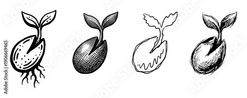 Set of four hand-drawn sprouting seeds in various artistic styles including sketch, doodle, and cross-hatching, a monochrome illustration symbolizing new life and growth