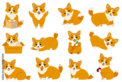 Collection of adorable corgi illustrations in various poses and expressions
