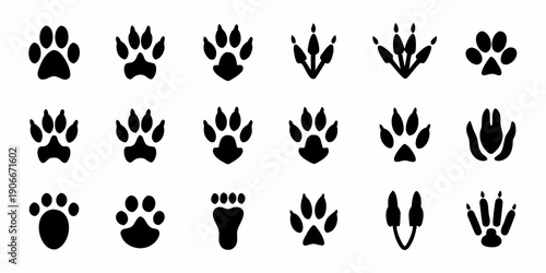 Collection of various animal footprints and paw prints in black