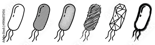Set of six hand-drawn bacteria illustrations with flagella in various graphic styles, including outline, hatching, stippling, scribble, geometric, and brush stroke
