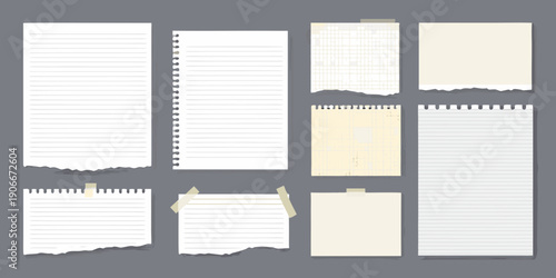 Collection of various torn and blank paper sheets with different textures