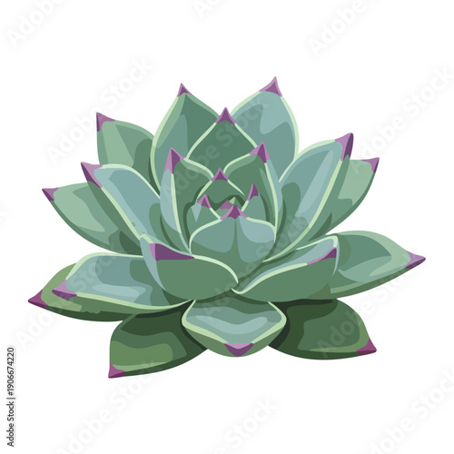 Vibrant Green Succulent Plant with Purple Tipped Leaves.