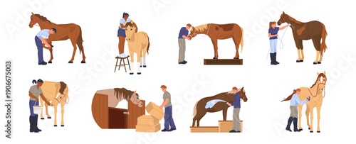 Various horse care activities. Vector stable workers feeding and grooming, washing and shoeing. Caretakers providing food, hay and water, brushing manes, cleaning coats and maintaining hooves