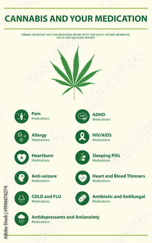Cannabis and Your Medication - Endocananbinoid System vertical infographic illustration about cannabis as herbal alternative medicine and chemical therapy, healthcare and medical science vector.