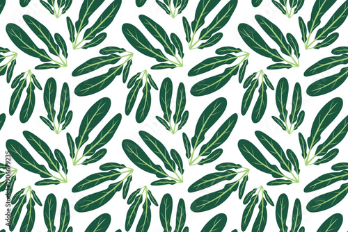 Seamless pattern with green lettuce leaves. Hand-drawn colorful lettuce leaves, vegetables, and kitchen utensils. Healthy organic produce. Fresh, healthy vegetables.