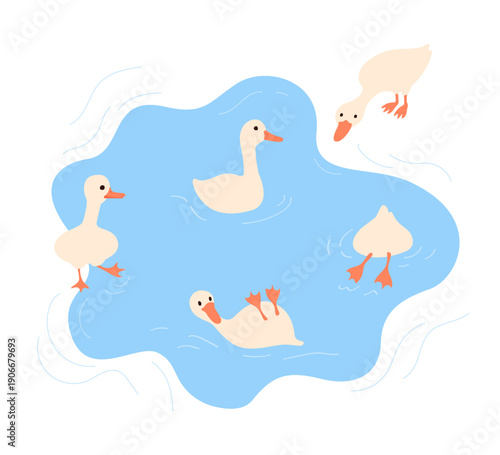 Cute goose character set. Geese swimming in a pond. Vector illustration on a white background.