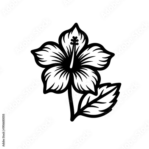 Solid black background with empty space and copy space