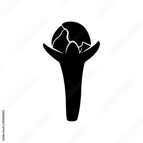 Silhouette of Dried Clove Bud for Aromatic Spices and Dental Natural Remedies