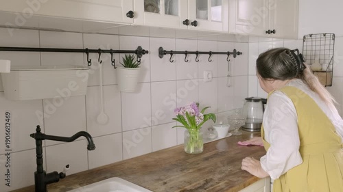 mature woman in apron takes pride in keeping kitchen clean, wiping down countertop with care and attention, highlighting importance of homemaking and satisfaction job well done, Importance Homemaking