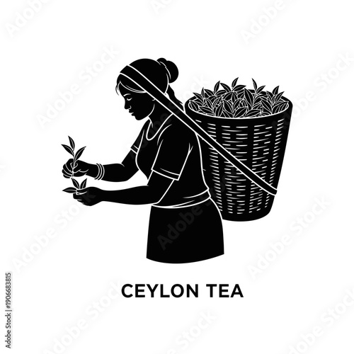 Silhouette of Tea Plucker Woman for Ceylon Tea and Sri Lankan Plantation